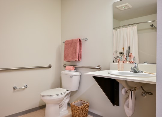 a bathroom with a toilet and a sink and a mirror