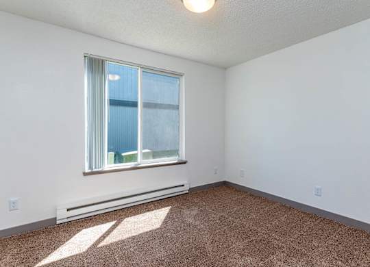 A room with a window and a carpet on the floor.