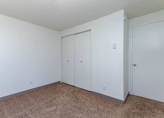 A room with two white doors and a carpeted floor.