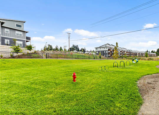 A red fire hydrant sits in the middle of a green grassy field.