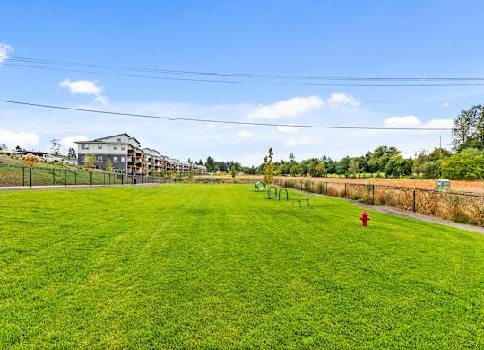 A large grassy field with a red fire hydrant in the distance.