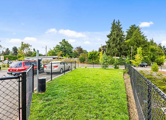 A black fence runs along a grassy area with a parking lot in the background.