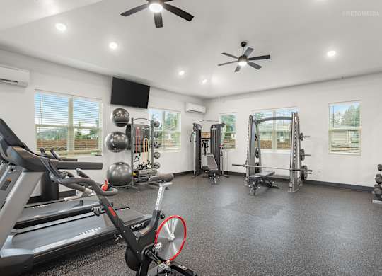 A spacious home gym with a treadmill, weights, and exercise equipment.