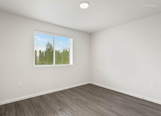 A room with a window showing trees outside.