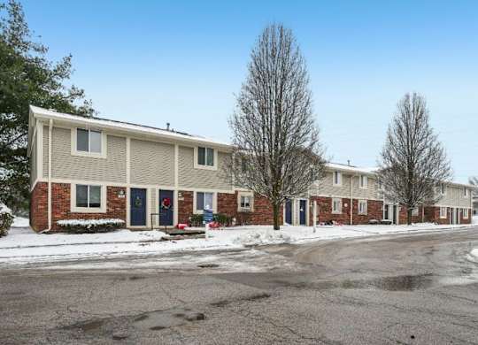 A row of houses with bare trees in front of them.