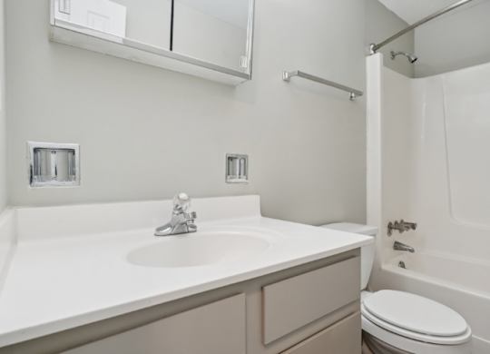 A white sink in a bathroom with a toilet and a shower.