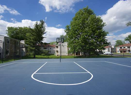 A basketball court with a hoop in the middle of it.