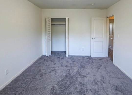 A room with a grey carpet and white walls.