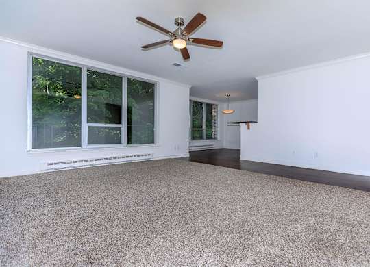 A room with a ceiling fan and carpeted floor.