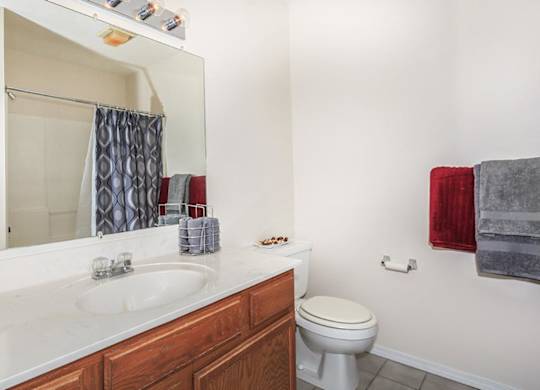 A bathroom with a toilet, sink, and shower.
