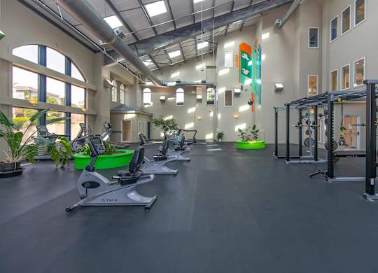 A gym with treadmills, elliptical machines, and other exercise equipment.