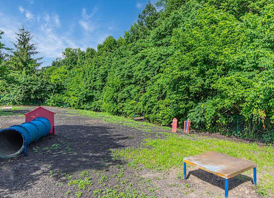A blue tube sits on a dirt ground with a red tube and a wooden platform nearby.