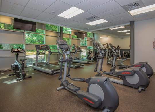 A gym with treadmills and elliptical machines.