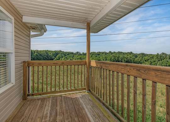 A wooden deck with a view of a green forest.