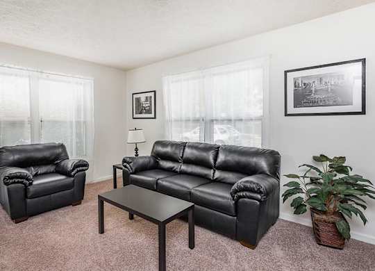 A living room with black leather furniture and a potted plant.