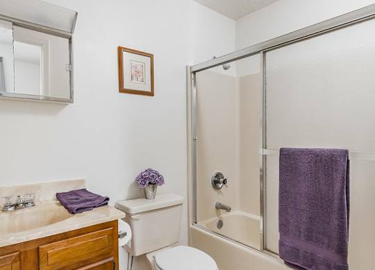 A bathroom with a toilet, sink, and shower.