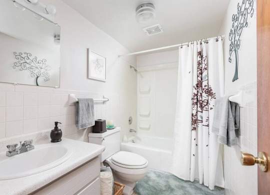 A bathroom with a toilet, sink, and shower.