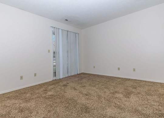 A room with a carpeted floor and a sliding door.