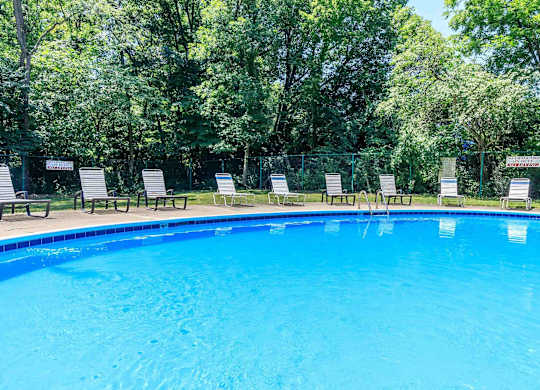 A swimming pool surrounded by trees and lounge chairs.