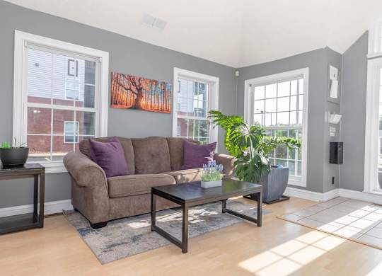 A living room with a brown couch and a coffee table.