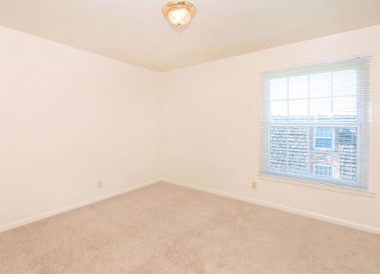 A room with a carpeted floor and a window with blinds.