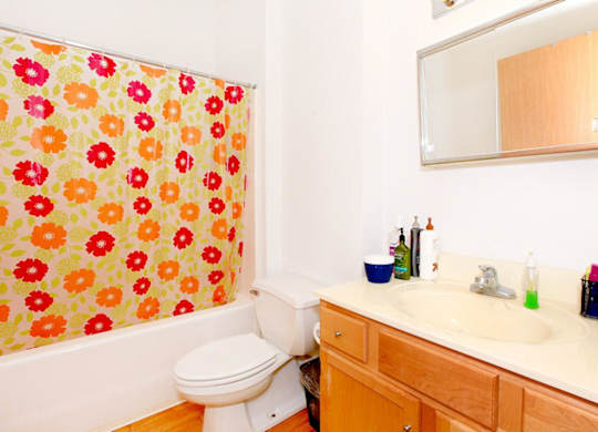 A bathroom with a floral shower curtain and a white toilet.