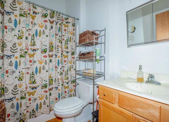 A bathroom with a toilet, sink, and shower curtain.