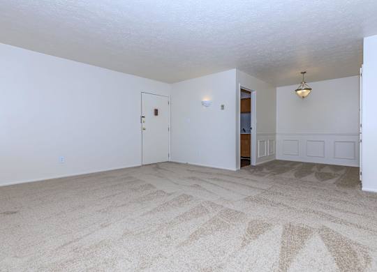 A room with a carpeted floor and a door.