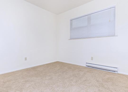 A room with a carpeted floor and a window with blinds.