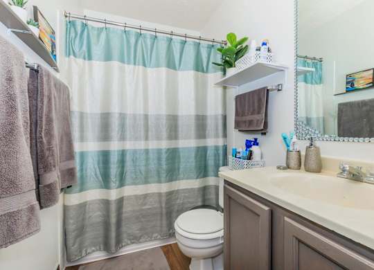 A bathroom with a toilet, sink, and shower curtain.