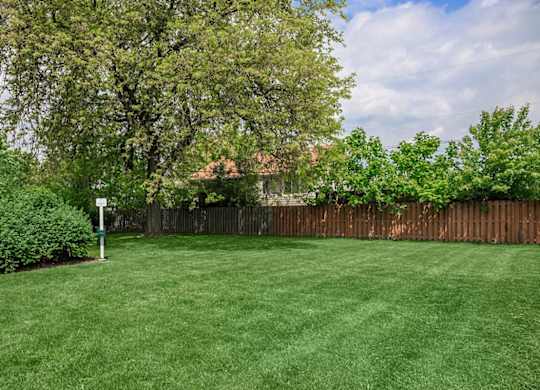 A backyard with a green lawn and a wooden fence.