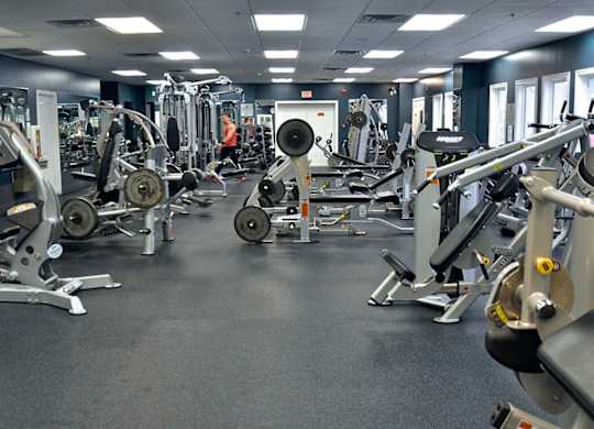 A gym with a variety of exercise equipment.