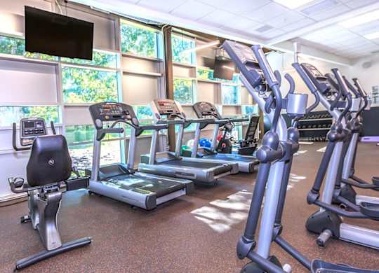 A gym with treadmills and exercise equipment.