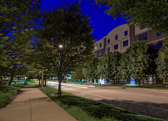 A tree-lined sidewalk with a building in the background.