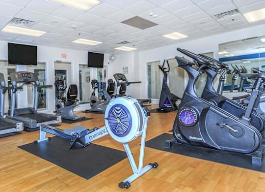 A gym with a row of treadmills and elliptical machines.