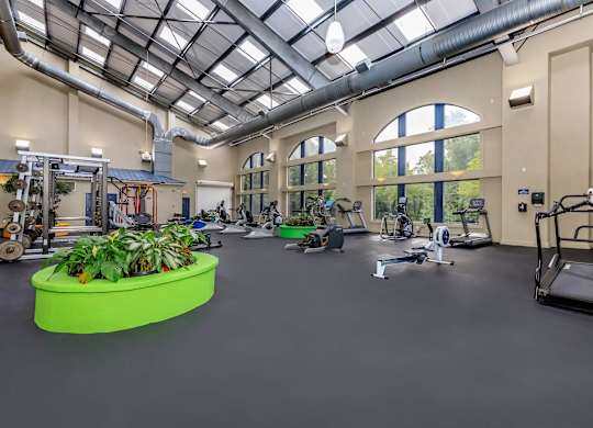 A gym with a green planter in the middle of the room.