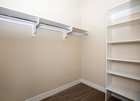 A white shelf is on the right side of the image.