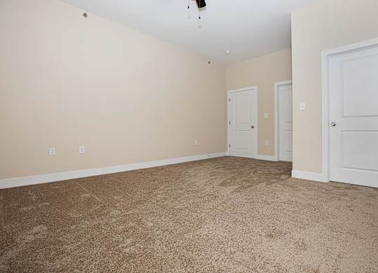 A room with a carpeted floor and three doors.