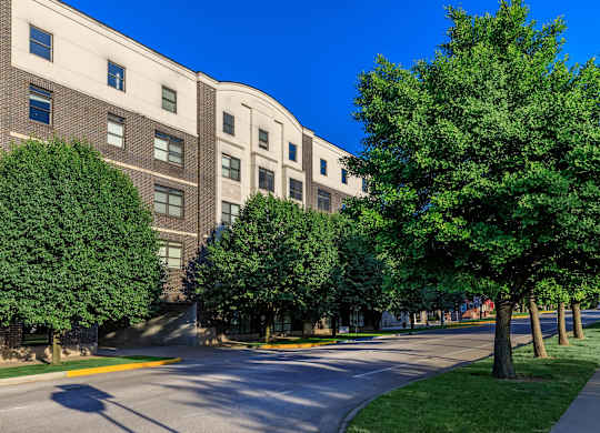 A tree-lined street in front of a building.