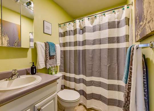 A bathroom with a toilet, sink, and striped shower curtain.