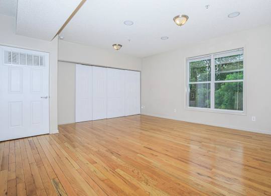A room with wooden floors and a window showing greenery outside.