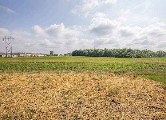 A field with dry grass and a cloudy sky.