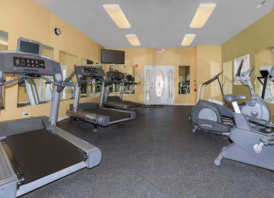 A gym with treadmills and elliptical machines.
