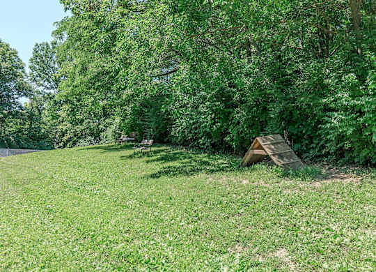 A field of green grass with a wooden structure in the middle.