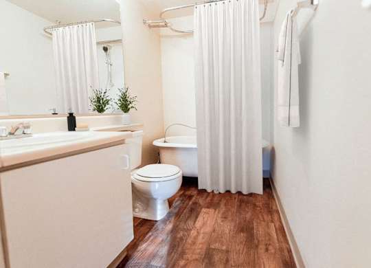 a bathroom with a toilet and a shower curtain at Zindorf, Seattle, WA, 98104
