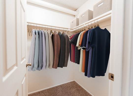 A row of clothes hanging on a rack.