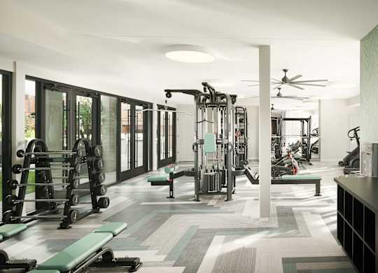 A gym with a variety of equipment including weights and cardio machines.