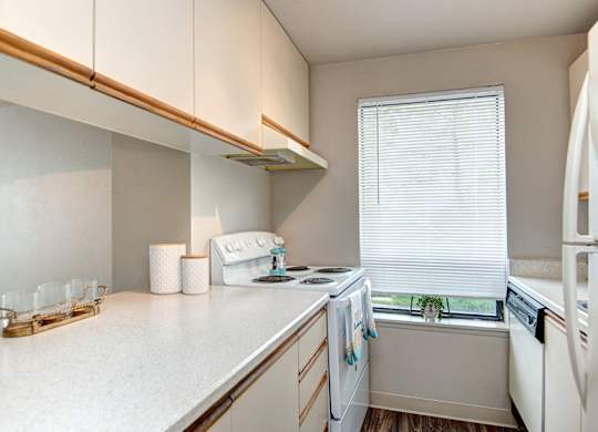 Seattle Apartments- stainless steel Kitchen- natural light- wood floors