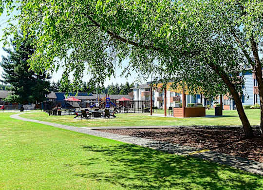 A tree in a grassy area with a building in the background. at Brookstone, Washington, 98198