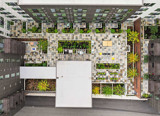 a living wall on the side of a building with plants